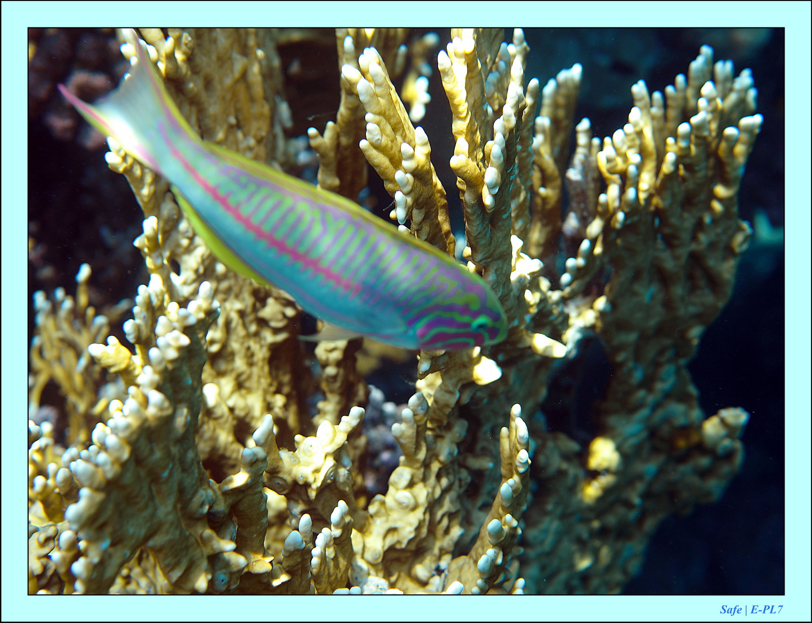 Hurghada - Aout 2021 - 025